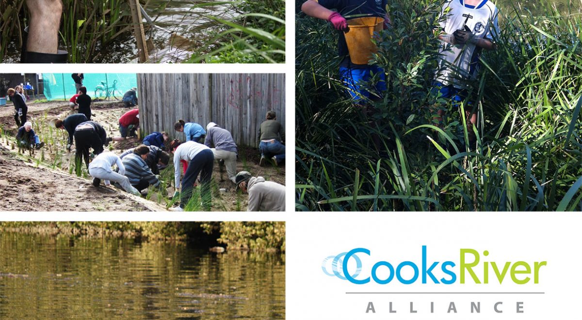 Cooks River Alliance Action Plan 2014-2017