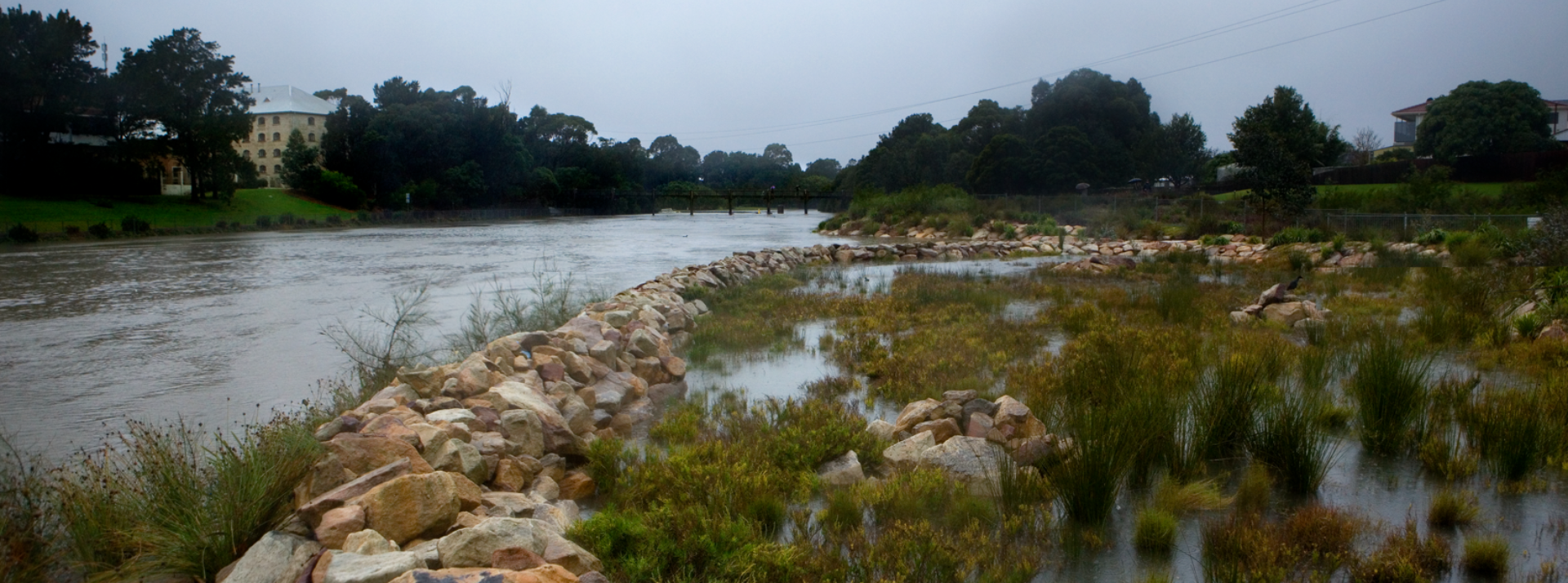 Cooks River Alliance