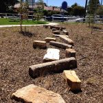 Stepping stones at Forrester Reserve raingarden