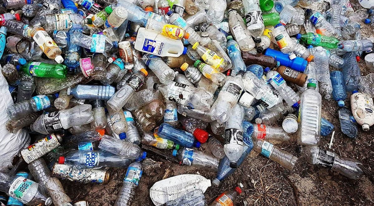 Clean up on cooks river