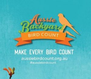 Aussie Backyard Bird Count poster