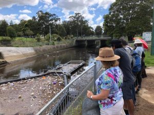 Looking out at the pollutants caught in the Campsie litter boom