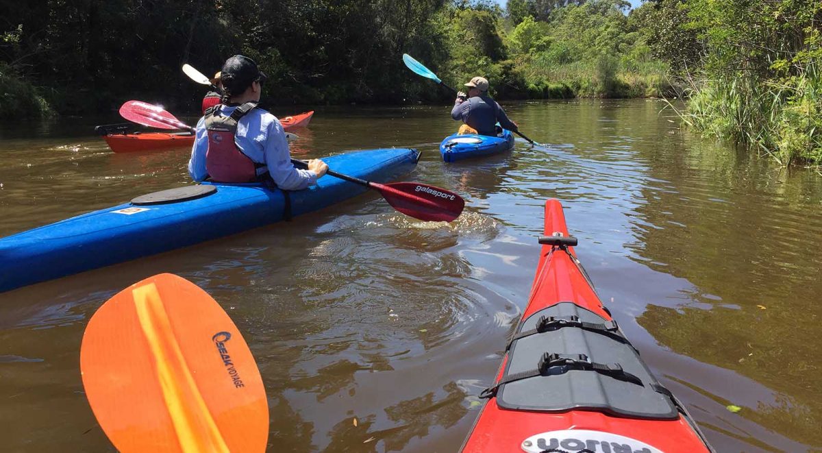 Kayaks on Wolli Creek