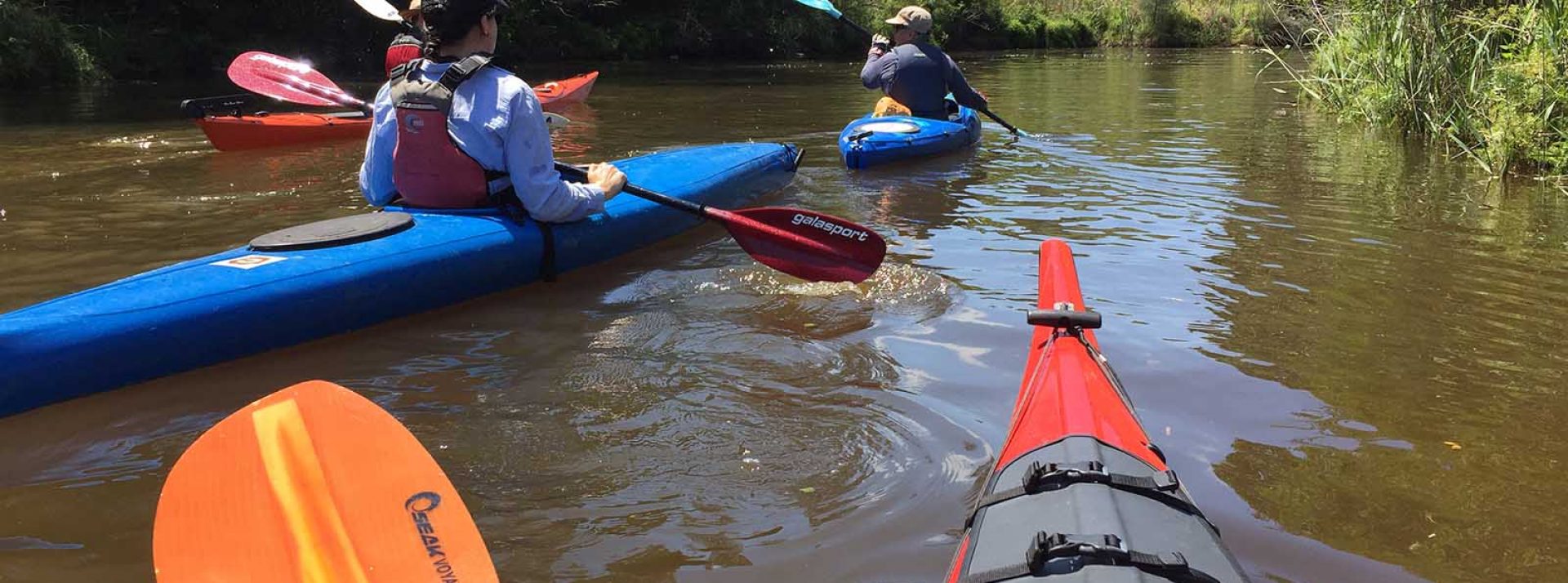 Kayaks on Wolli Creek