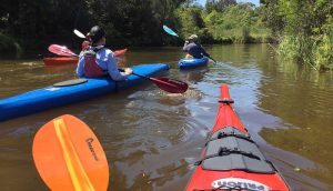 Kayaks on Wolli Creek