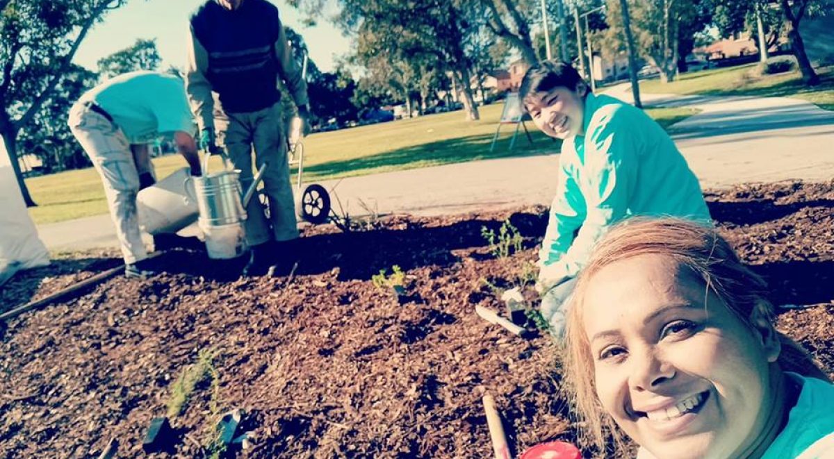 Volunteers planting bushes