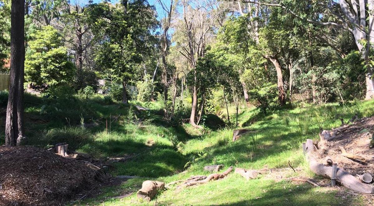 Bushland at Stotts Reserve