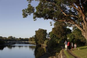 shot of people's backs as they are walking on the grass underneath trees along the river's edge