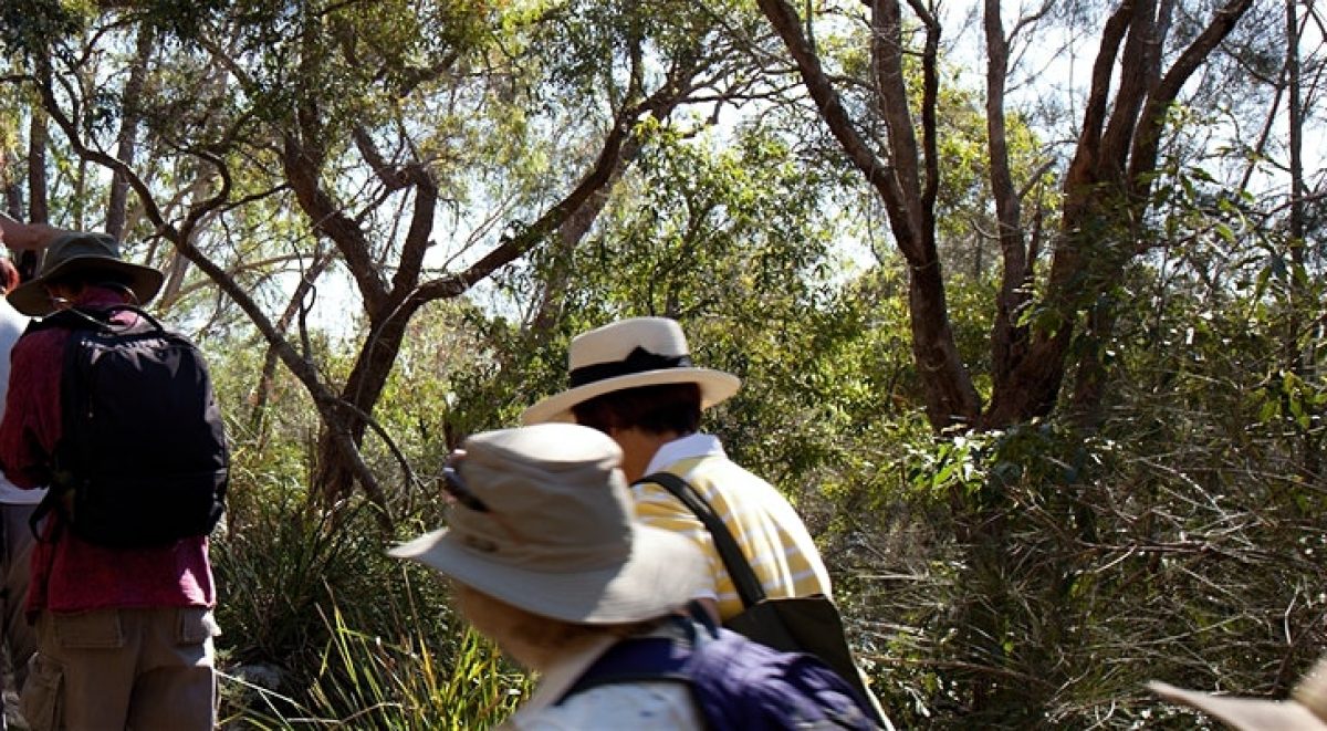 People walking in bushland
