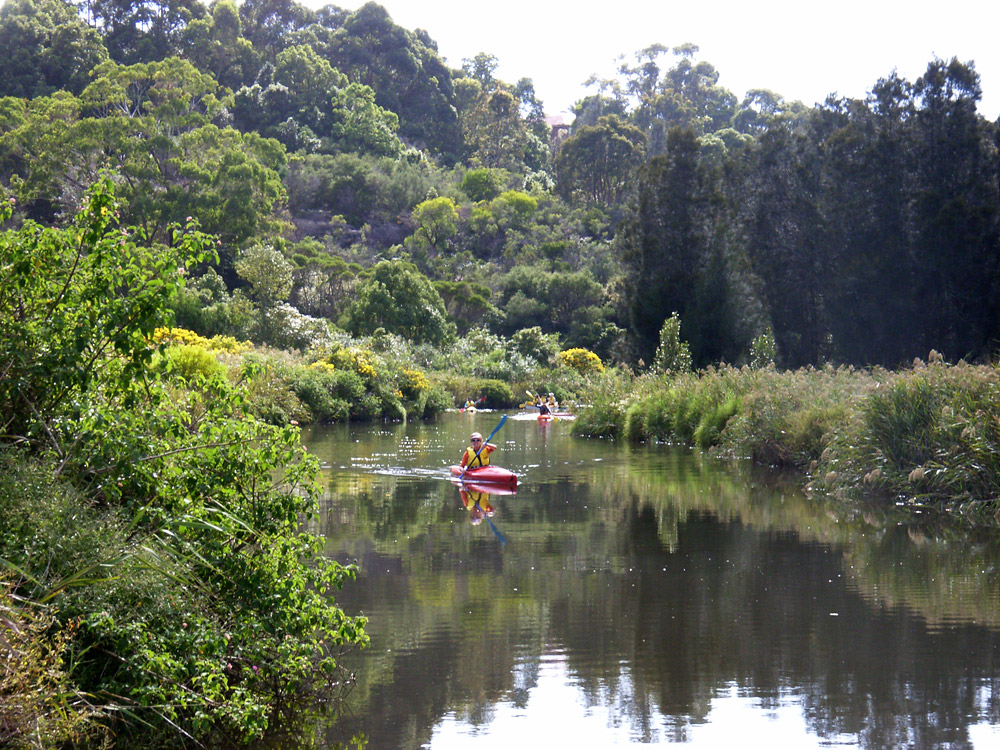 kayakers on creek surrounding by bushland
